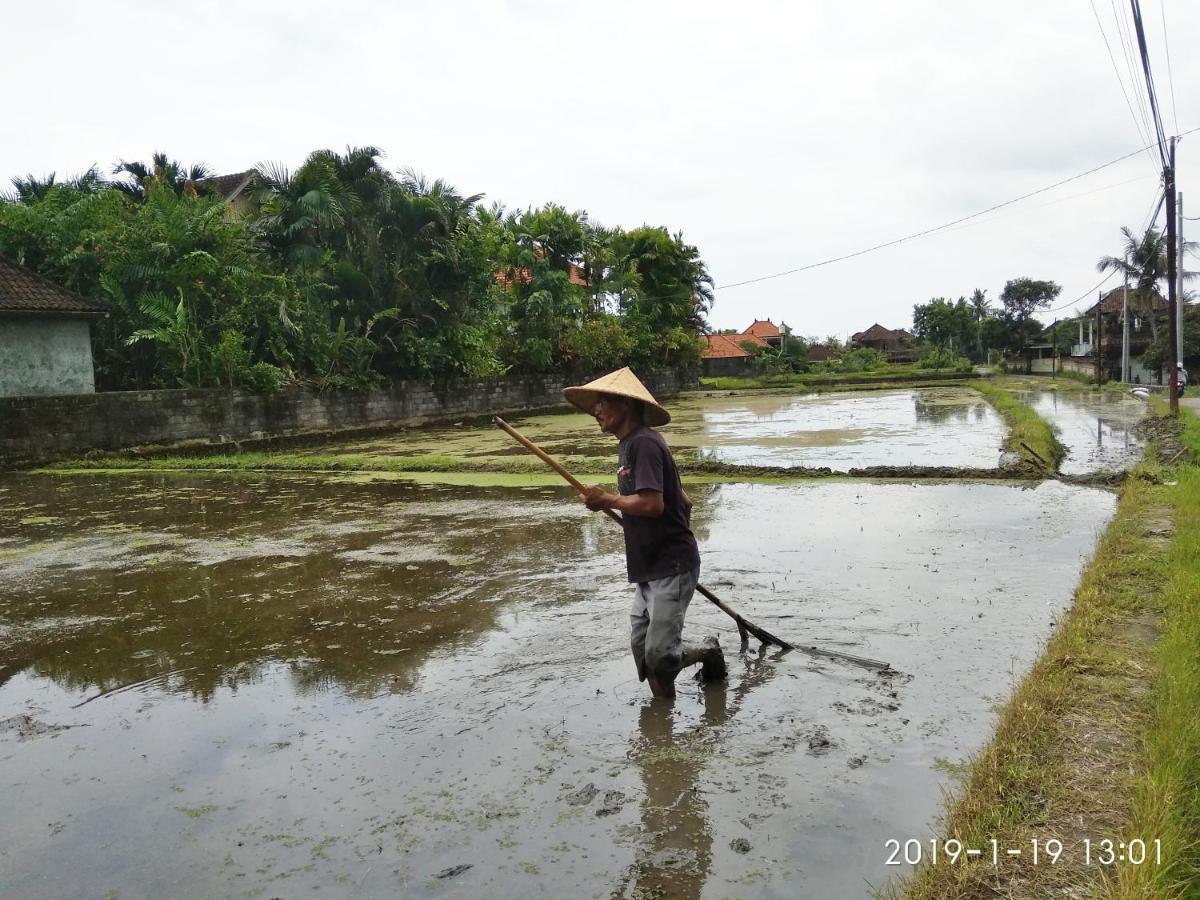 Bhuana Alit 2 Ubud Екстер'єр фото