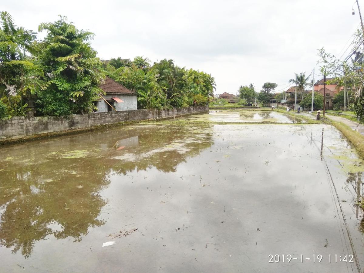Bhuana Alit 2 Ubud Екстер'єр фото