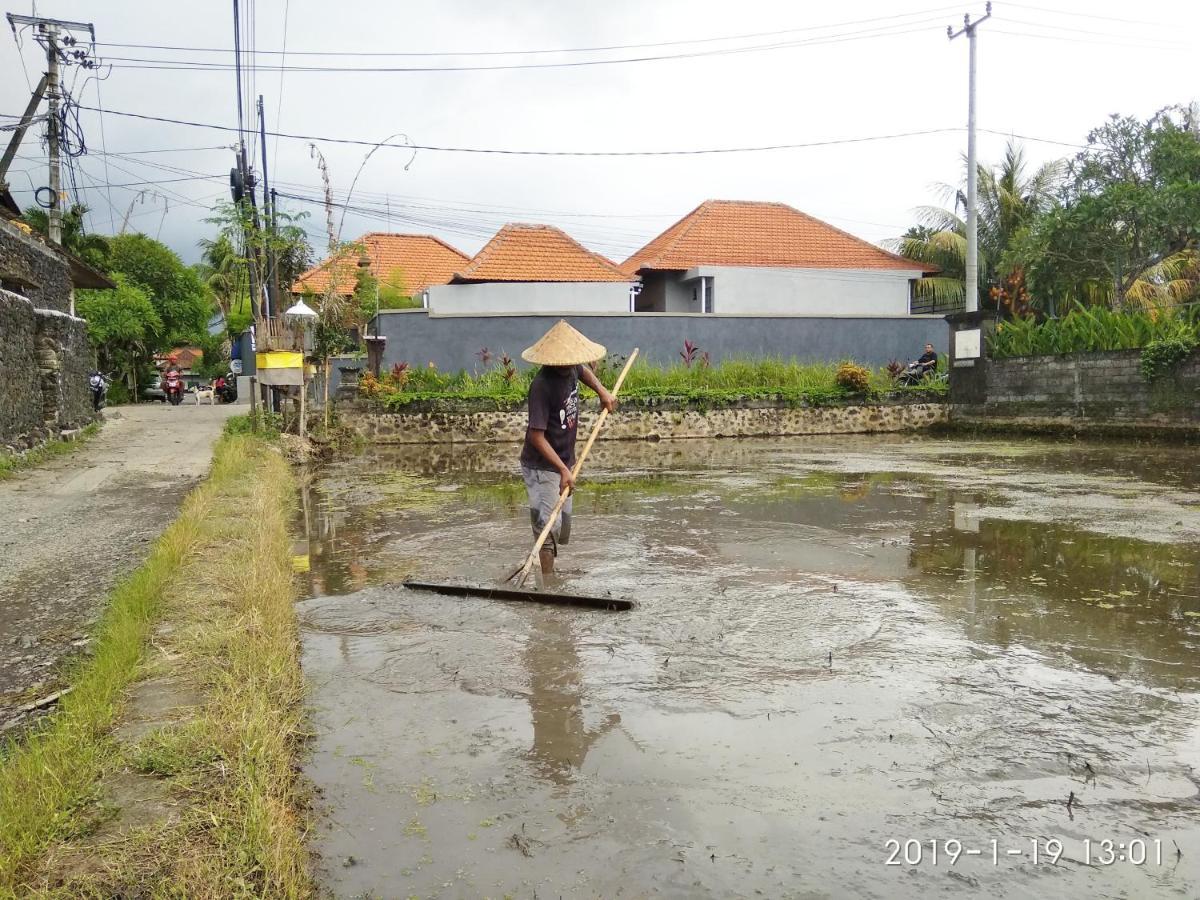 Bhuana Alit 2 Ubud Екстер'єр фото
