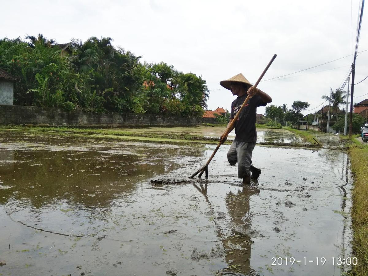 Bhuana Alit 2 Ubud Екстер'єр фото