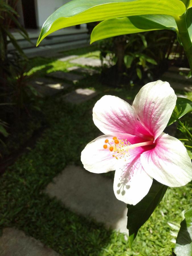 Bhuana Alit 2 Ubud Екстер'єр фото
